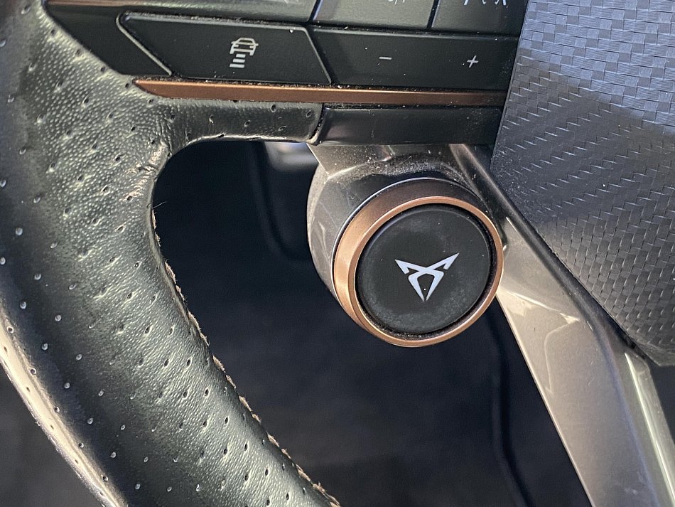 Cupra Formentor 2.0 TSi  4x4