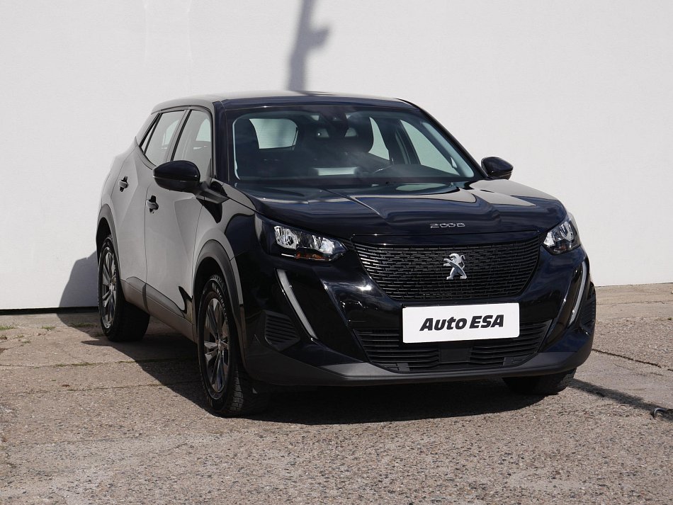 Peugeot 2008 1.2 PT Active