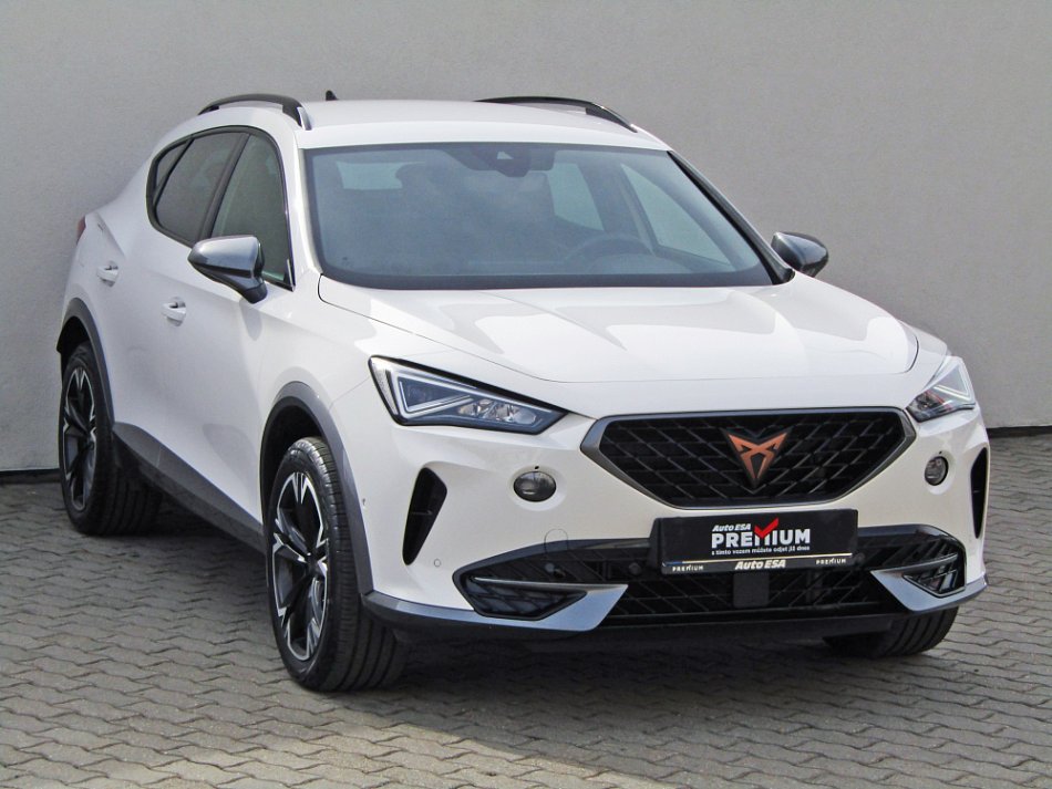 Cupra Formentor 2.5 TSI 