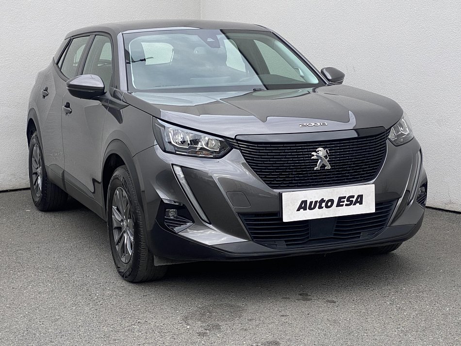 Peugeot 2008 1.2 PT Active