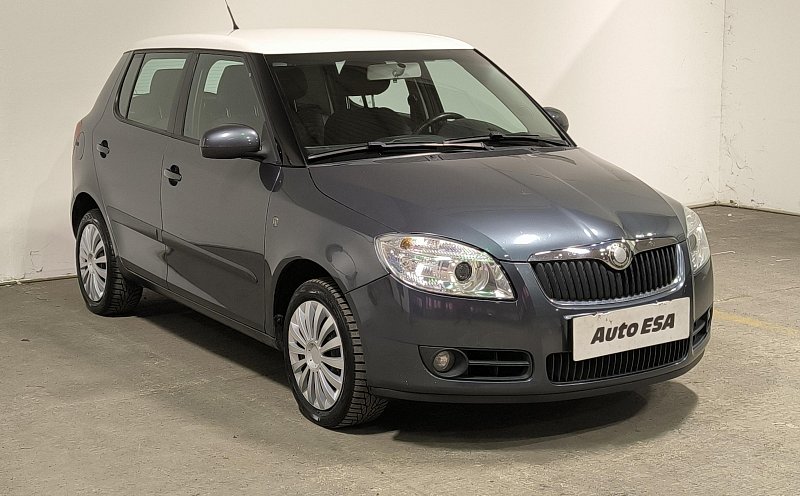 Škoda Fabia II 1.9TDi 