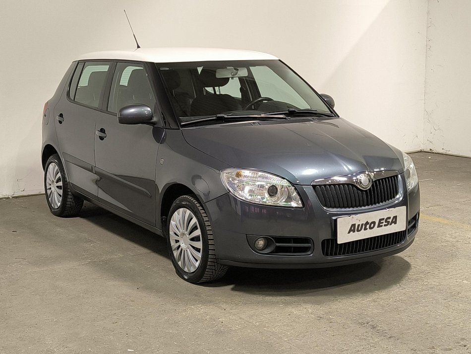 Škoda Fabia II 1.9TDi 