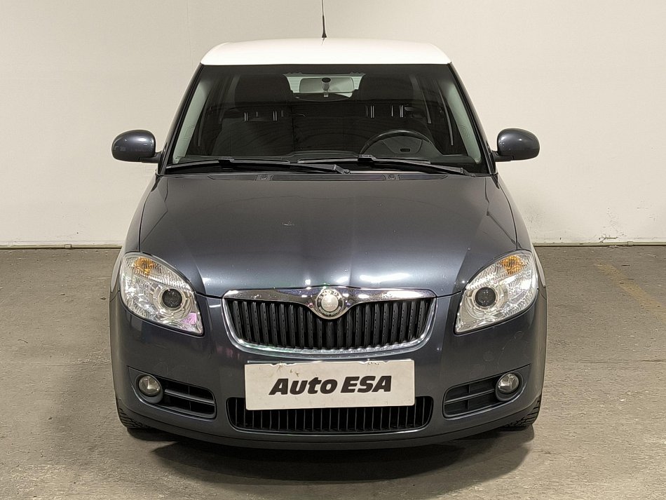 Škoda Fabia II 1.9TDi 