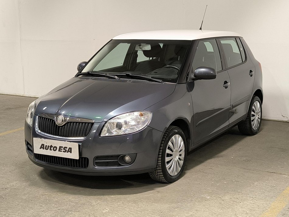 Škoda Fabia II 1.9TDi 