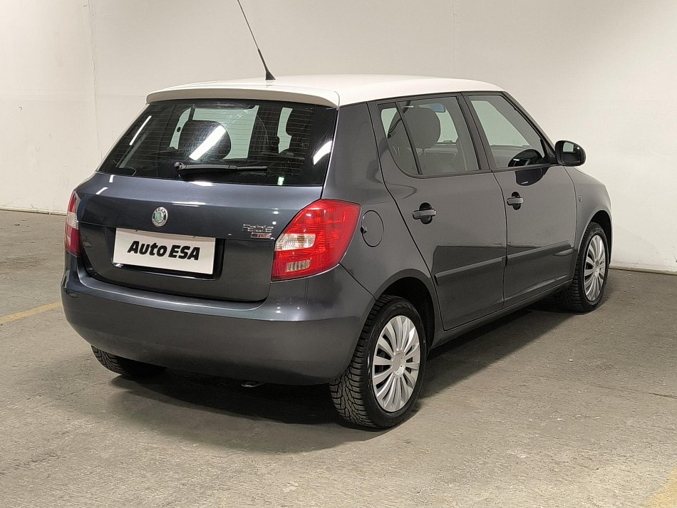 Škoda Fabia II 1.9TDi 