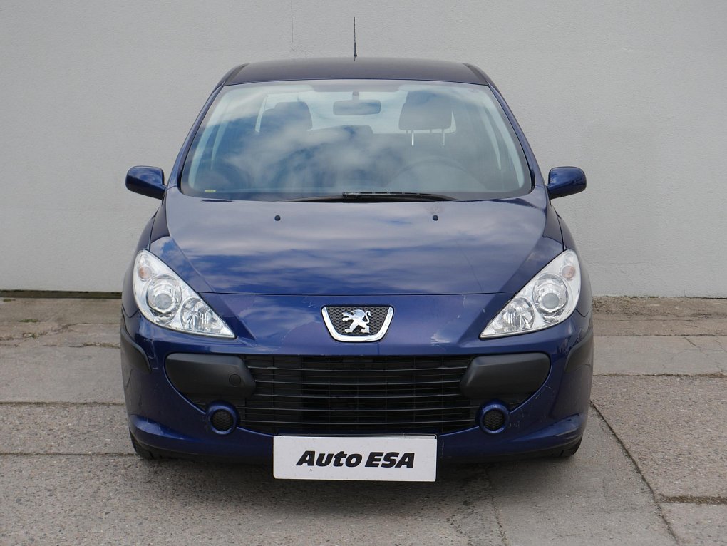 Peugeot 307 1.6i 