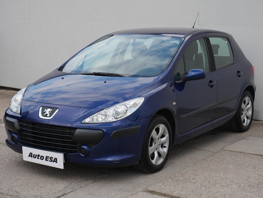 Peugeot 307 1.6i 