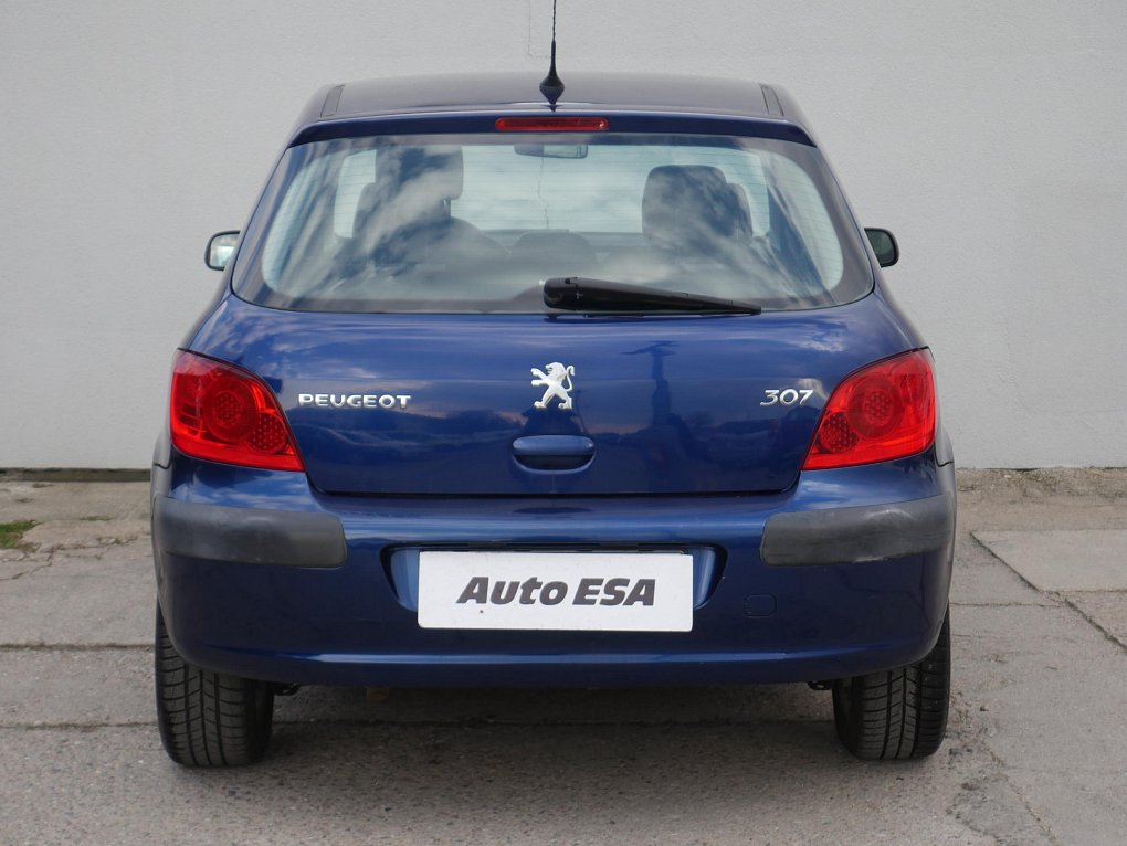 Peugeot 307 1.6i 