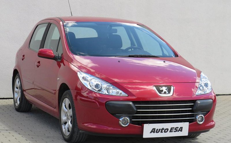 Peugeot 307 1.6i 