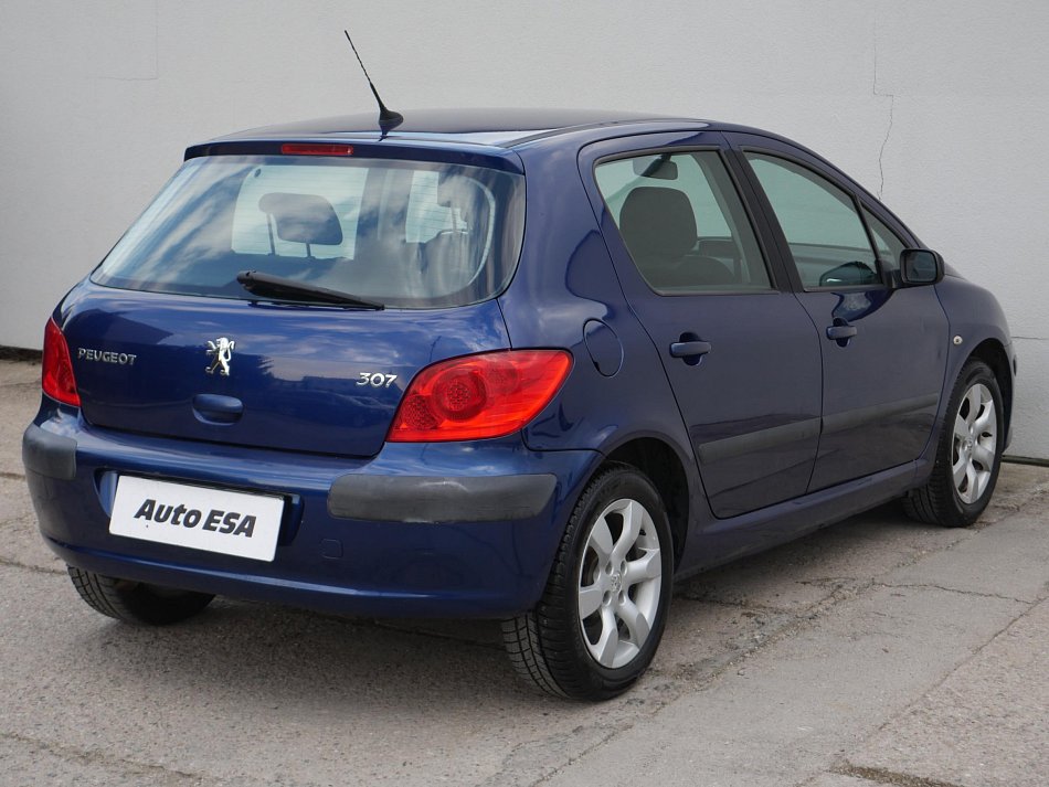 Peugeot 307 1.6i 