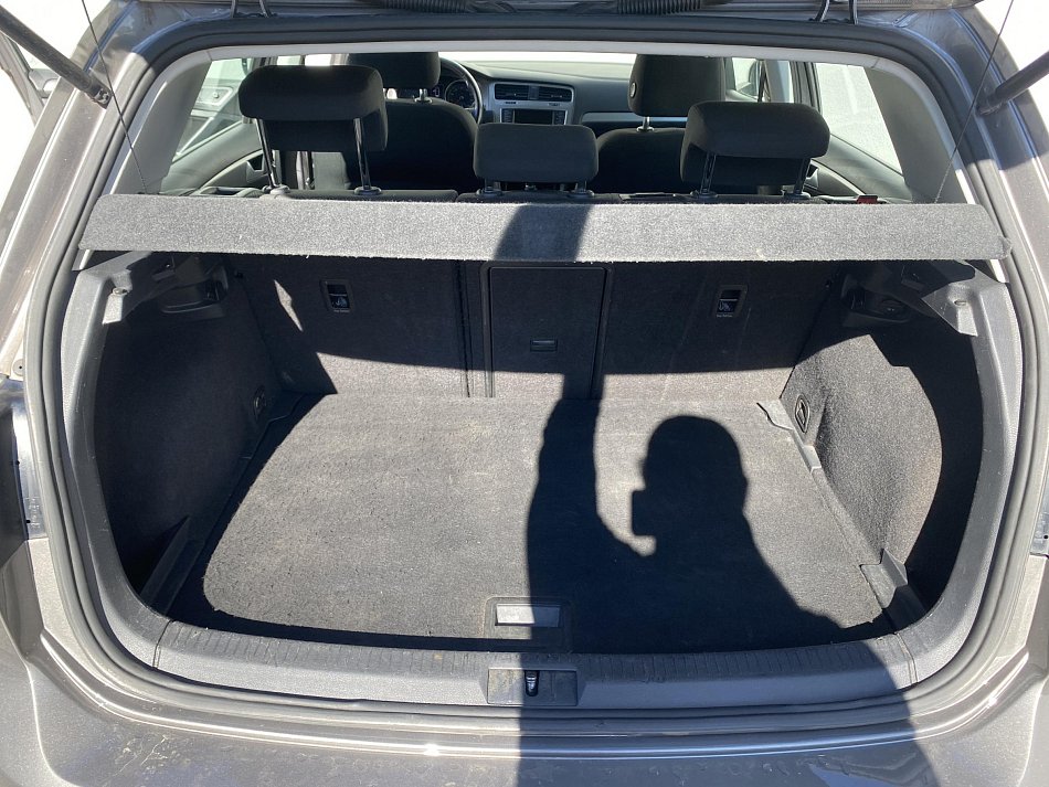 Volkswagen Golf 1.6 TDi 