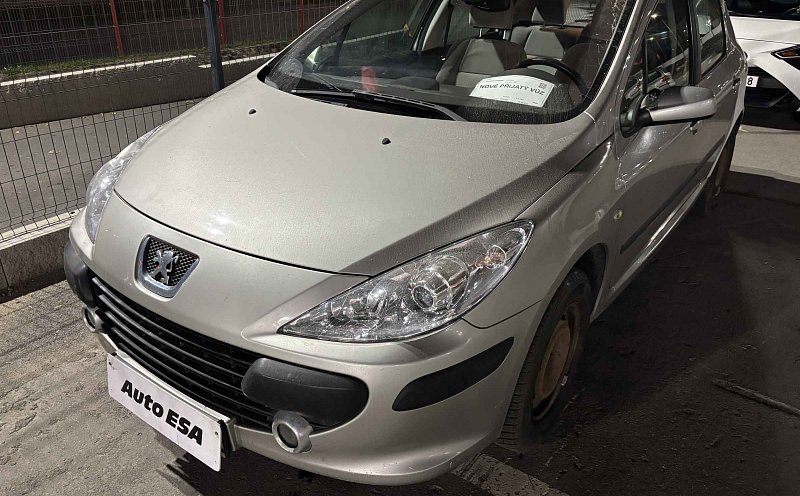 Peugeot 307 1.6 16 V 