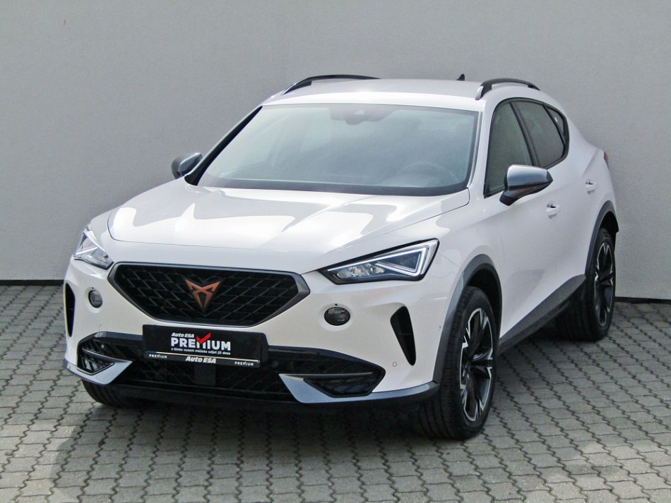 Cupra Formentor 2.0 TSi  4drive