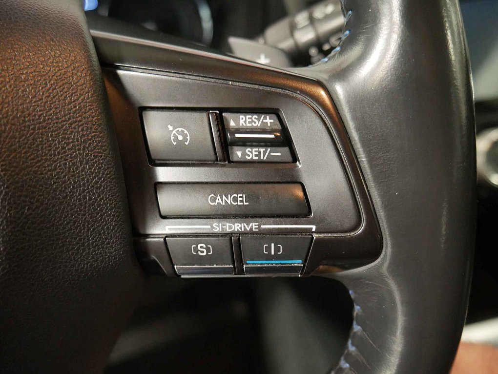 Subaru Levorg 1.6T  4x4