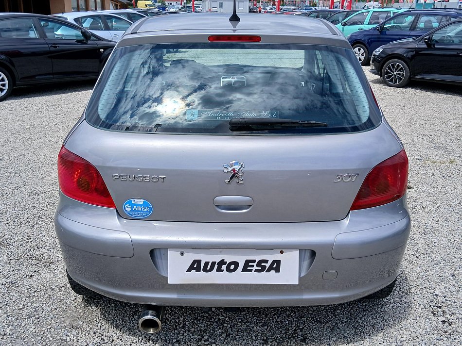Peugeot 307 1.6i 