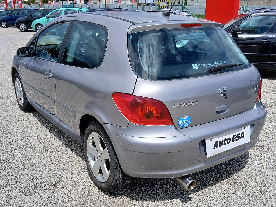 Peugeot 307 1.6i 