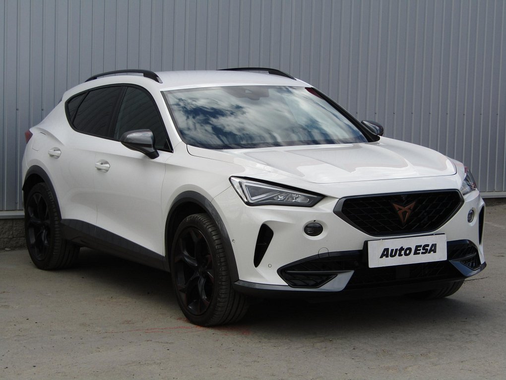 Cupra Formentor 2.0 TSi 