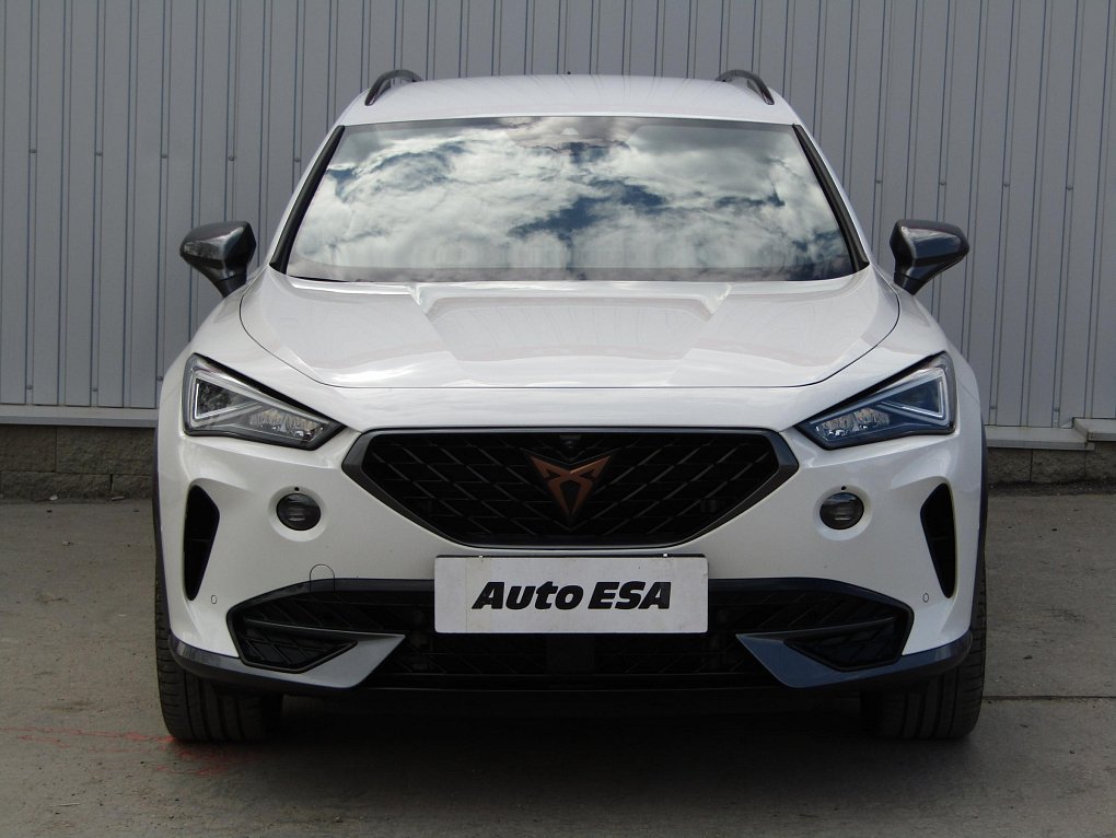 Cupra Formentor 2.0 TSi 