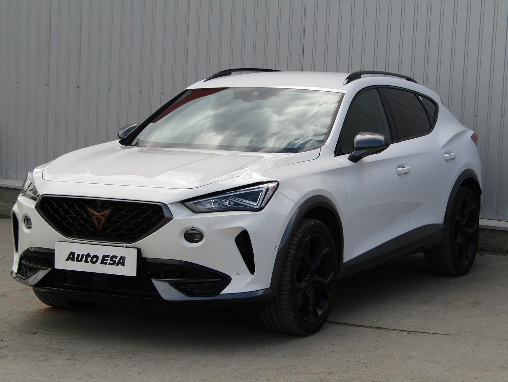 Cupra Formentor 2.0 TSi 