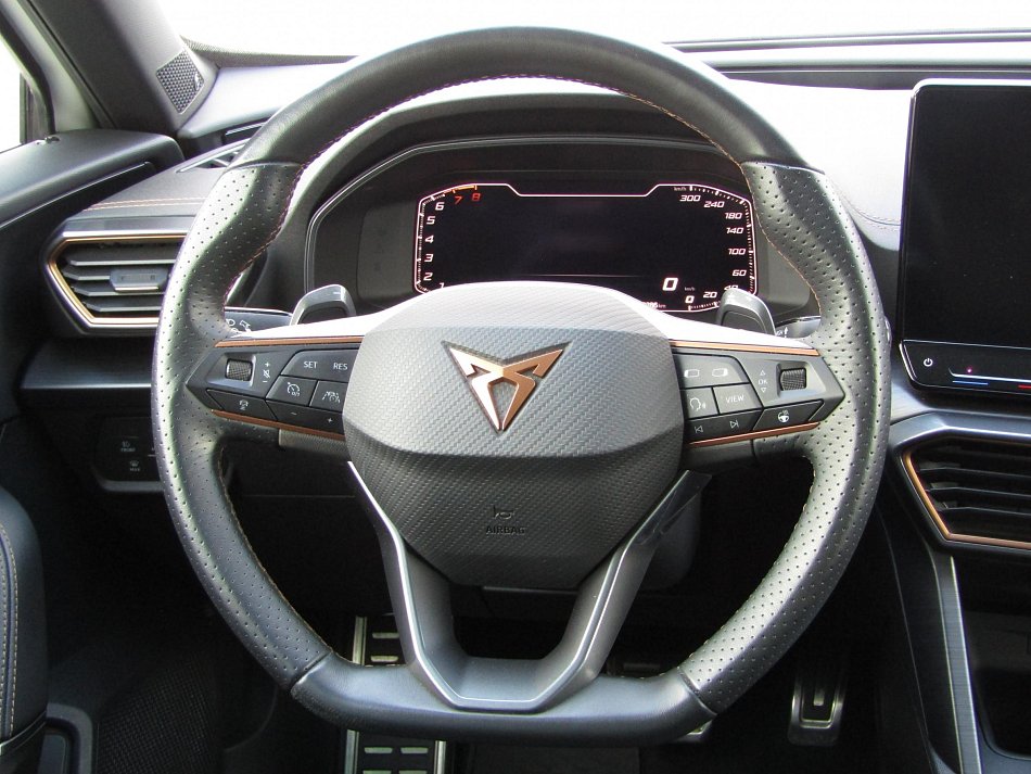 Cupra Formentor 2.0 TSi 