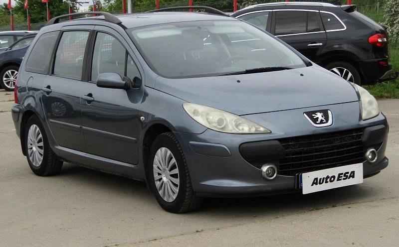Peugeot 307 1.6i 