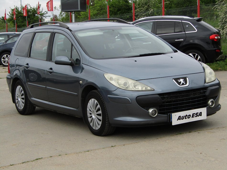 Peugeot 307 1.6i 