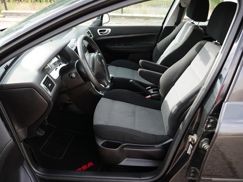 Peugeot 307 1.6 i 