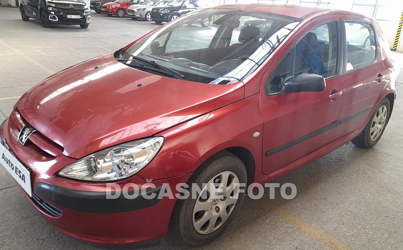 Peugeot 307 1.6 vti 