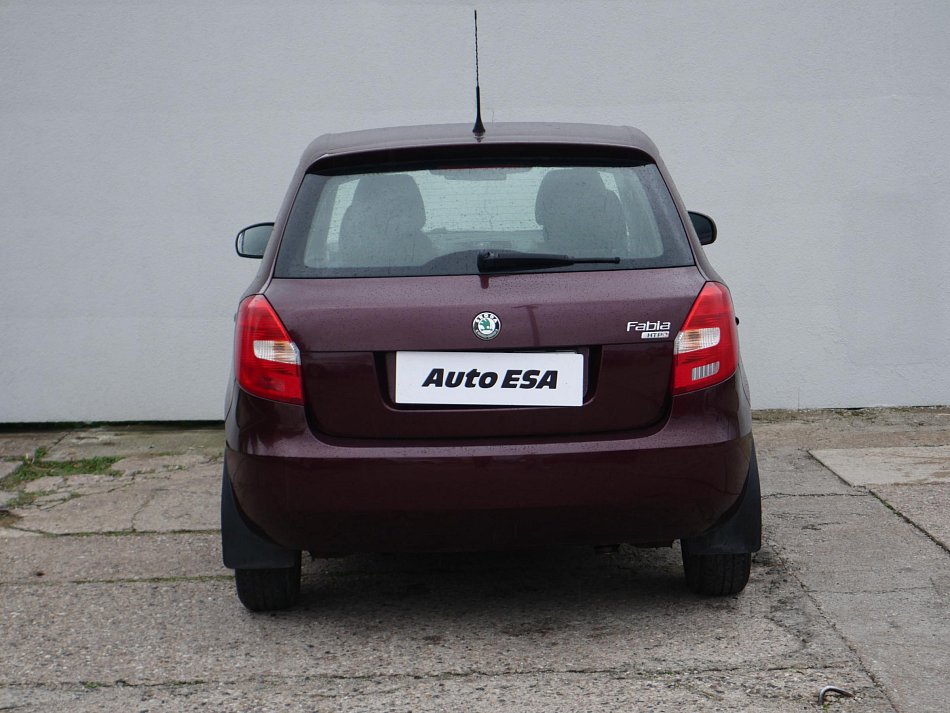 Škoda Fabia II 1.2 12V 