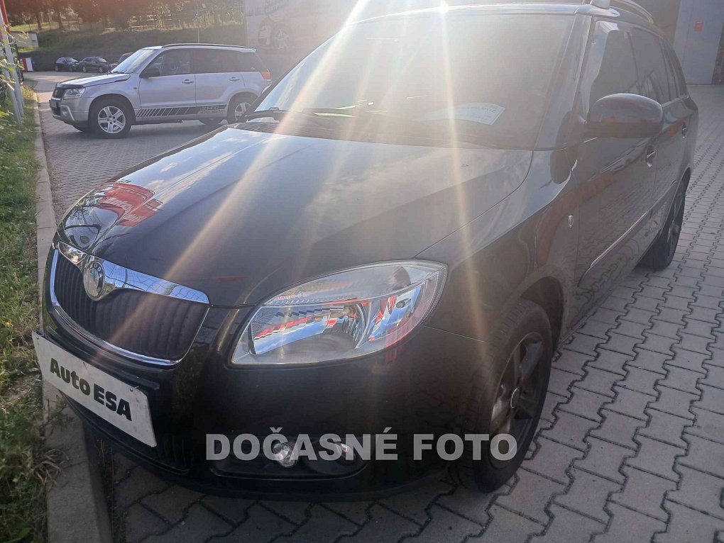 Škoda Fabia II 1.2 12V 