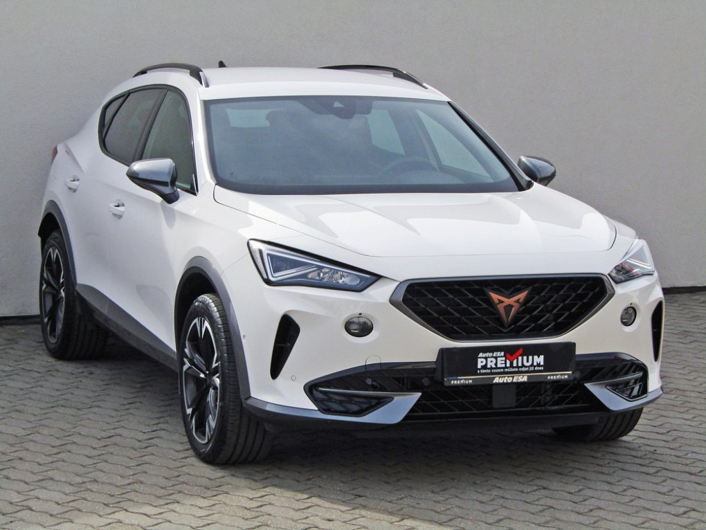 Cupra Formentor 2.0 TSI 