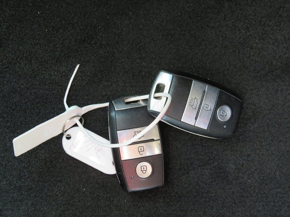 Kia Rio 1.0 T-GDi Platinum