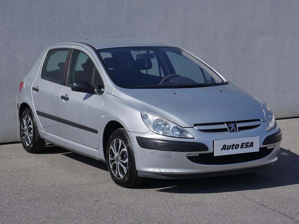 Peugeot 307 1.6i 