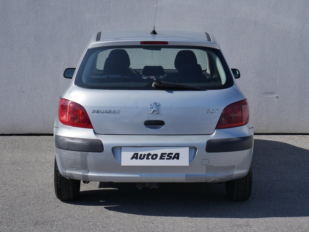 Peugeot 307 1.6i 