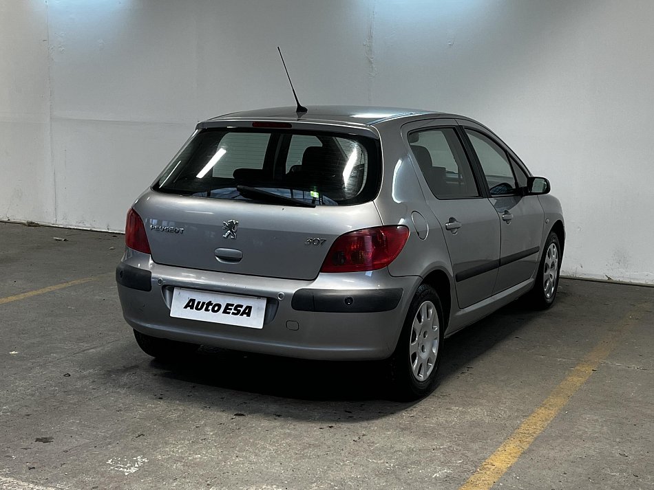 Peugeot 307 1.6i 