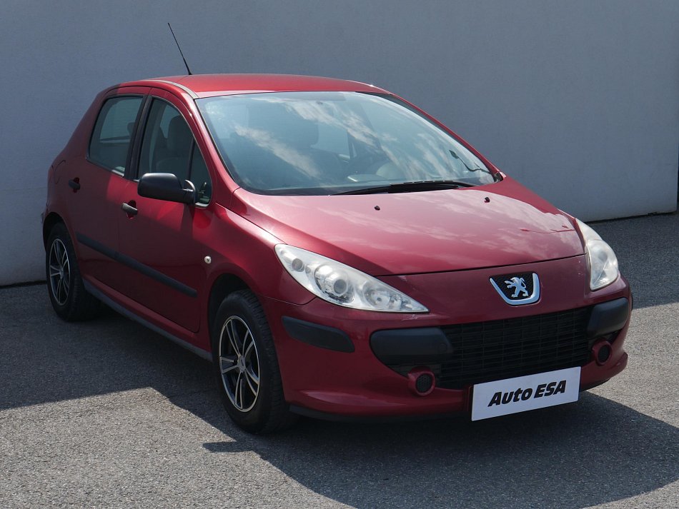 Peugeot 307 1.4i 