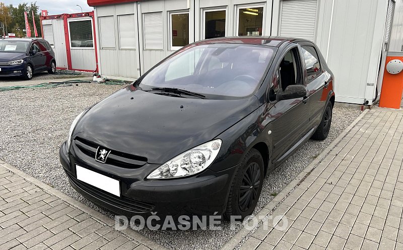 Peugeot 307 1.6i 