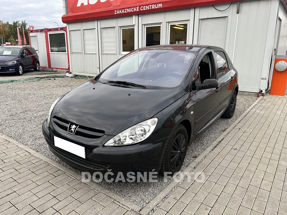 Peugeot 307 1.6i 