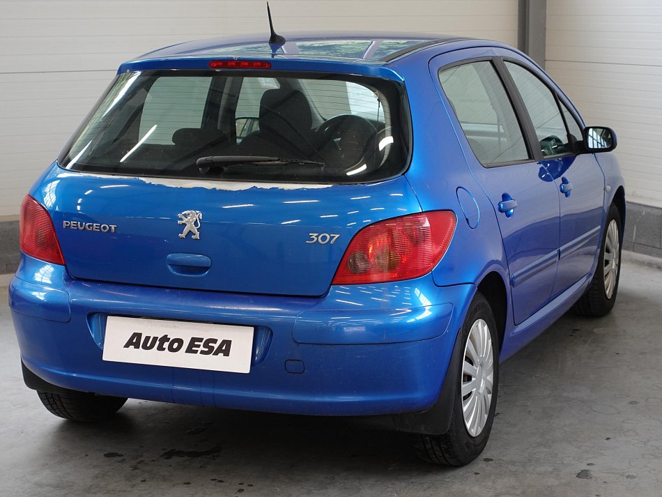 Peugeot 307 1.6i 