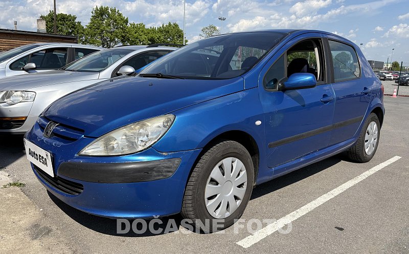 Peugeot 307 1.6i 