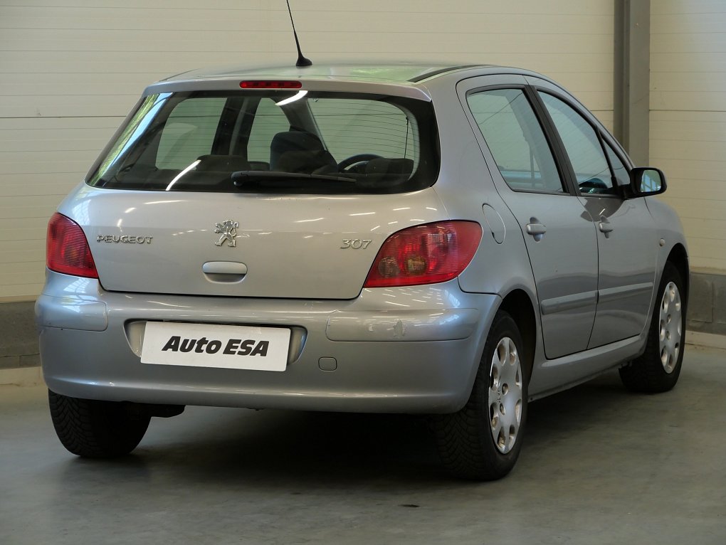 Peugeot 307 1.6i 