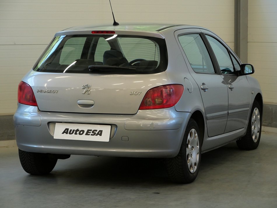 Peugeot 307 1.6i 