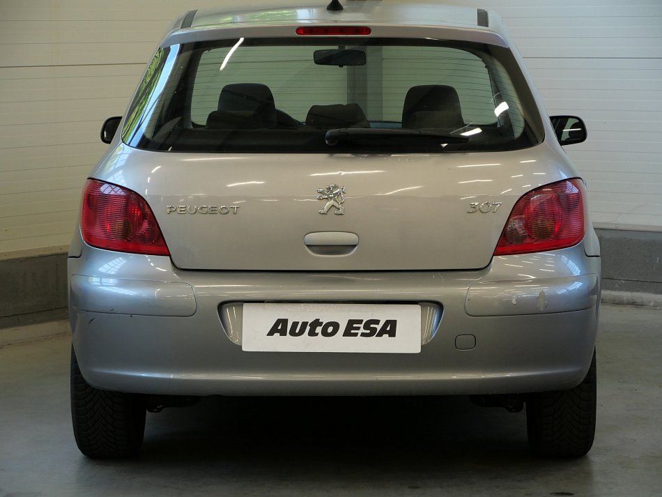 Peugeot 307 1.6i 