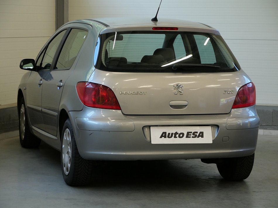 Peugeot 307 1.6i 